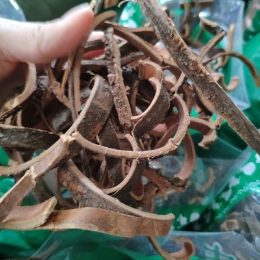 中药材鼠李皮