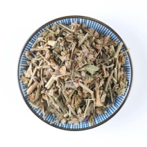 中药材鼠尾草