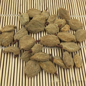 中药材新货碧桃干瘪桃干桃奴阴桃毛桃