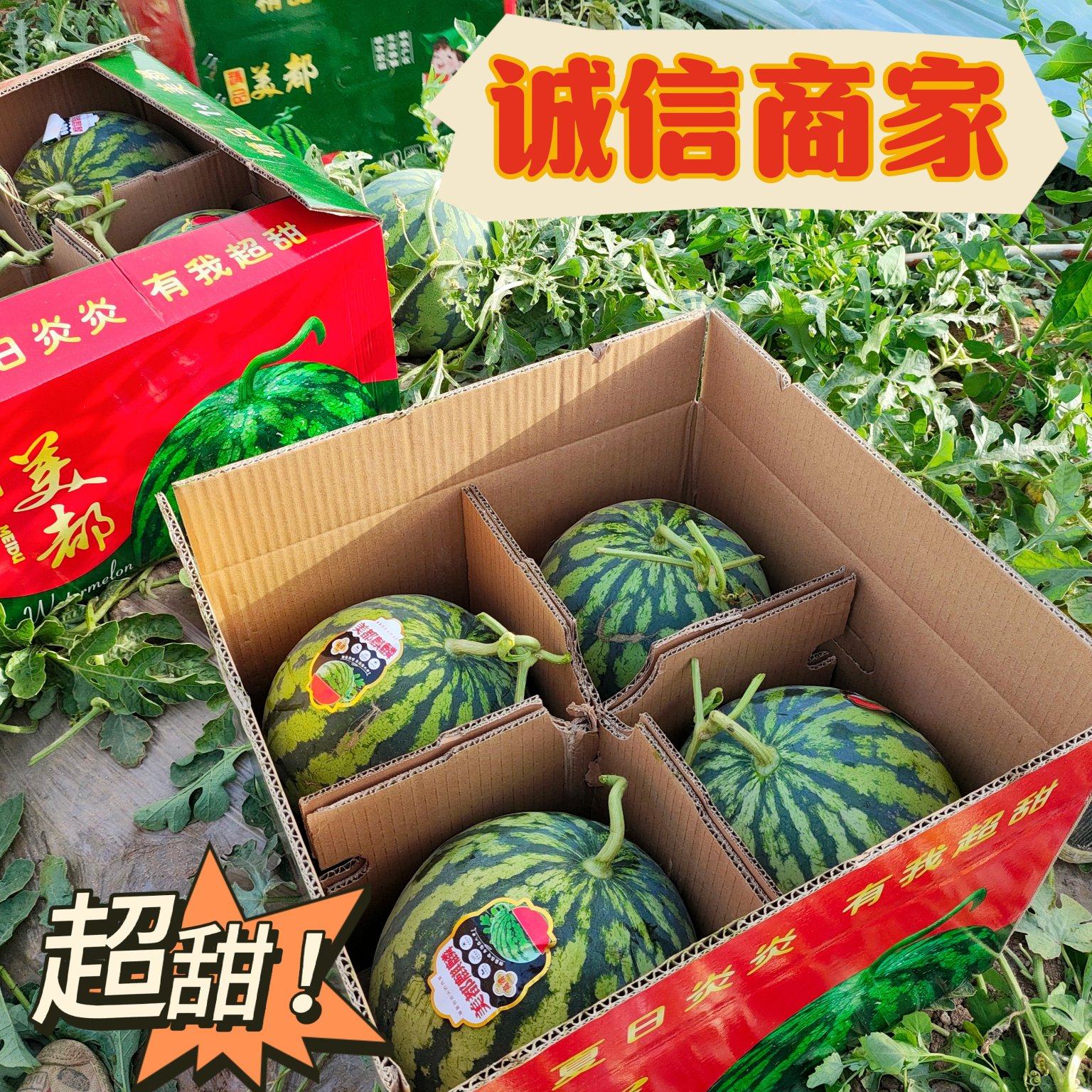 [美都西瓜批发]陕西渭南蒲城县西瓜 0.50元/斤【无籽美都】陕 _ 一亩田