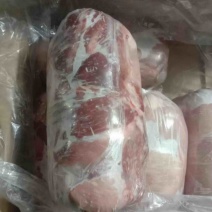 肥猪一号肉卷19000一吨，