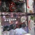 福安巨峰葡萄纯甜无酸寻求合作代发，订单，团购