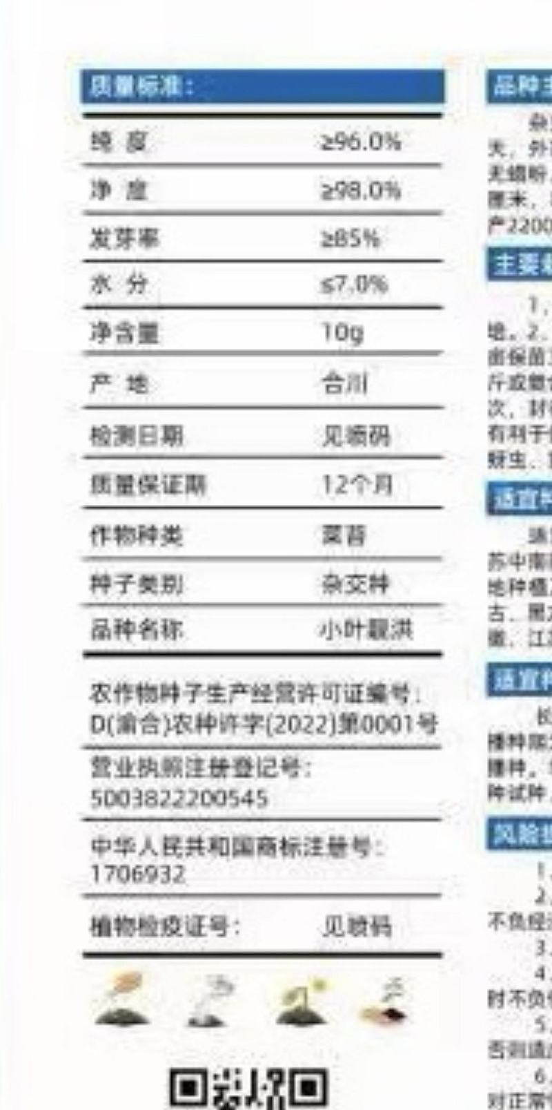 红菜苔种子小叶靓洪小叶多苔苔粗味甜早熟播种到收6o天