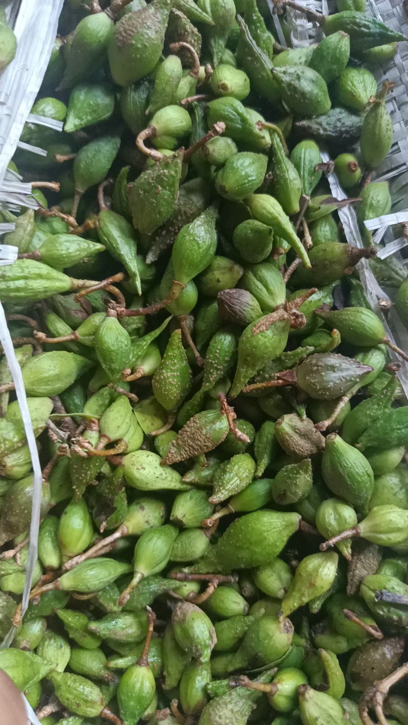 连翘。青翘。老翘。水煮货。蒸气货。都有