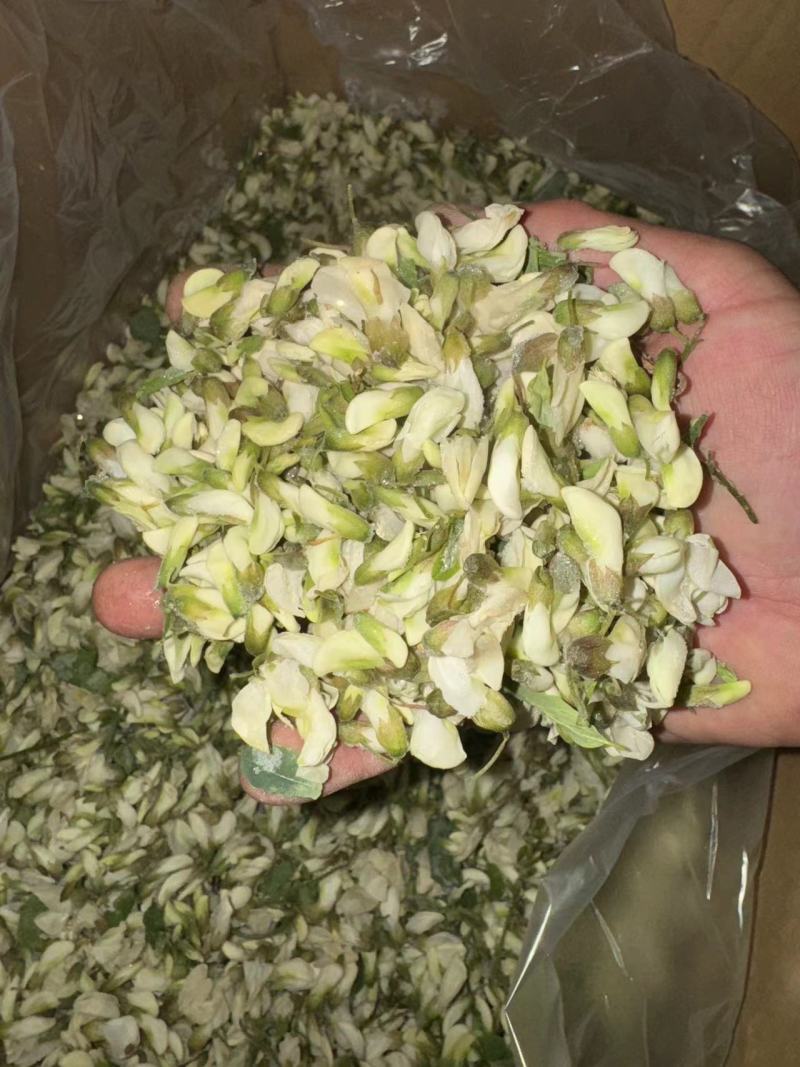 冷冻杨槐花。干冻。长期供货量大优惠欢迎咨询采购