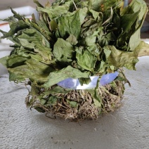 见血清干货大量现货，欢迎大家前来选购，量大从优