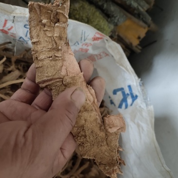土荆皮