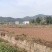 方正连片旱地，可种中药材