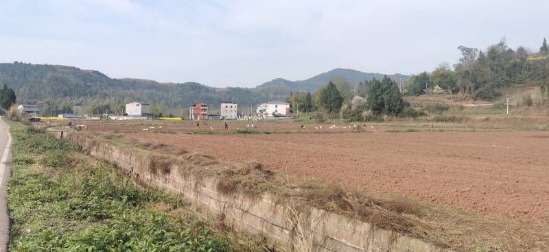 方正连片旱地，可种中药材