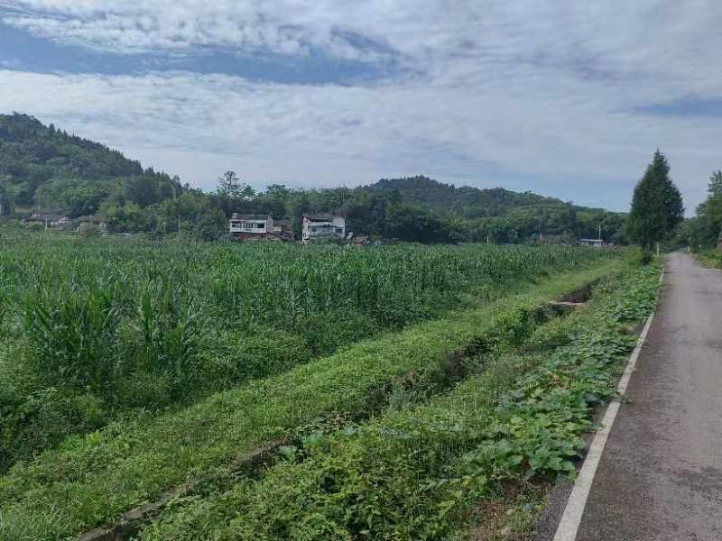 方正连片旱地，可种中药材