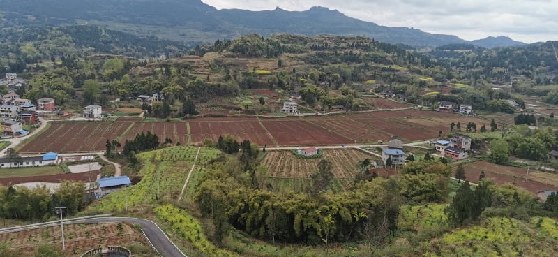 方正连片旱地，可种中药材