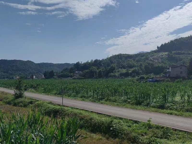方正连片旱地，可种中药材