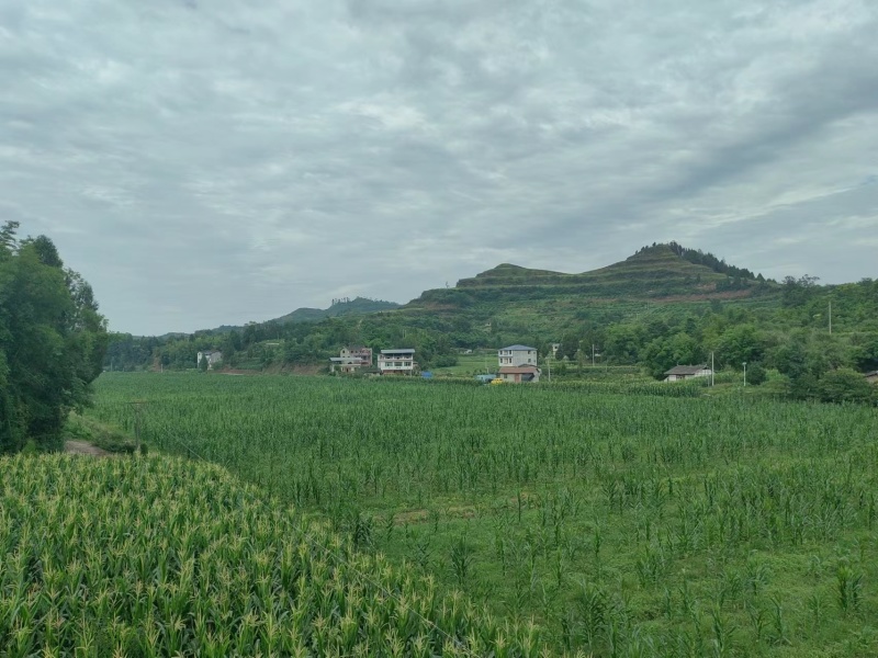 方正连片旱地，可种中药材