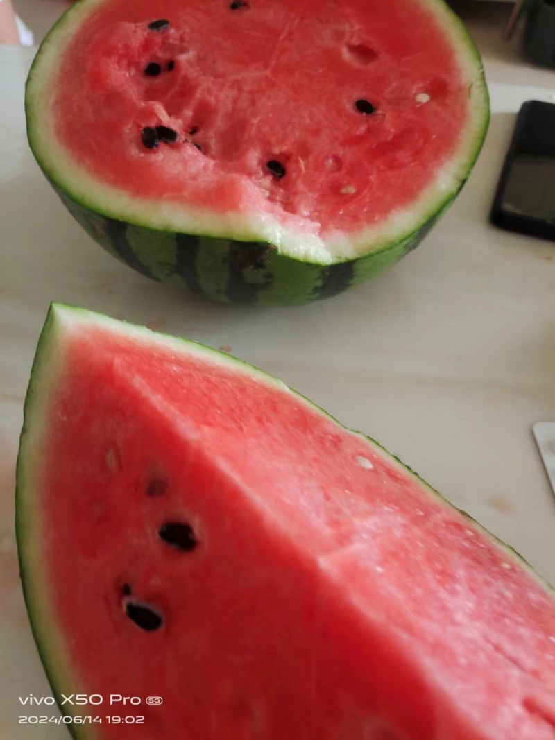 河南美都麒麟西瓜大量货，质优价廉。全国发货，质量保证……
