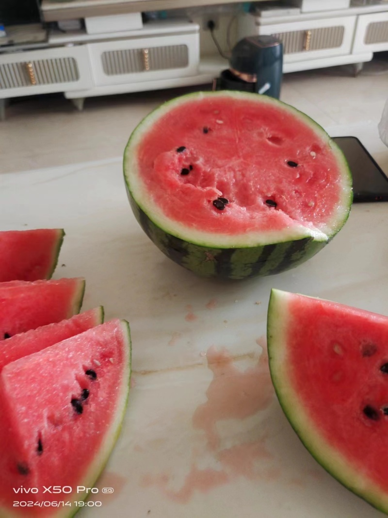 河南美都麒麟西瓜大量货，质优价廉。全国发货，质量保证……