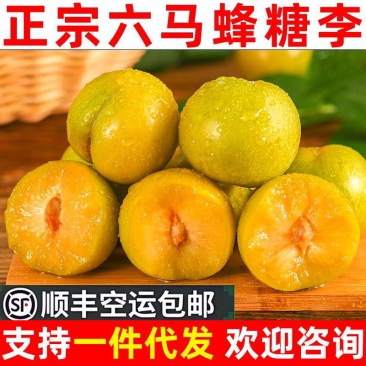 正宗六马蜂糖李，顺丰空运包邮，量大的欢迎来场地考察
