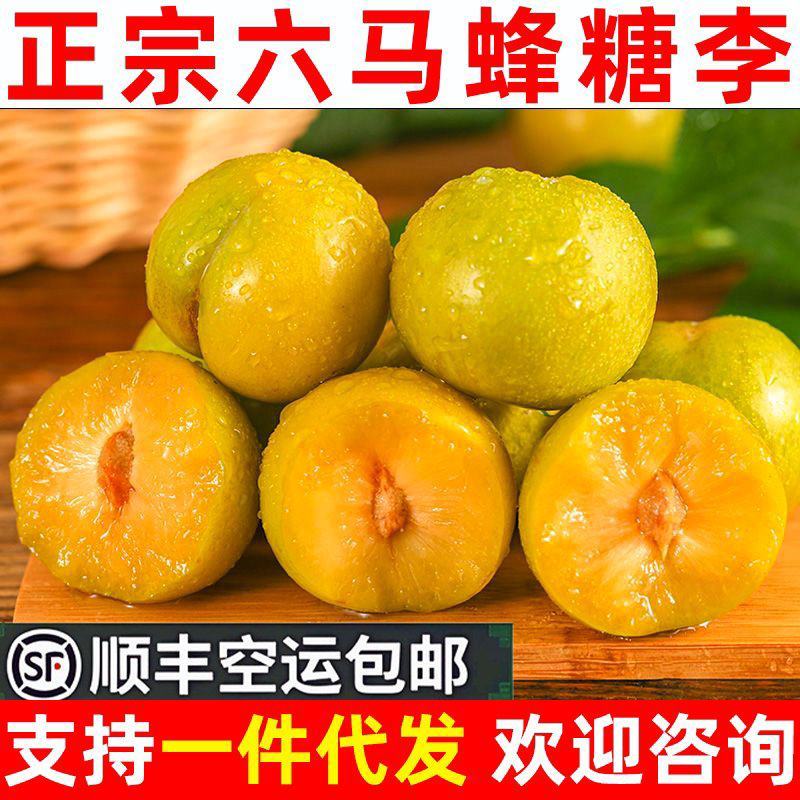 正宗六马蜂糖李，顺丰空运包邮，量大的欢迎来场地考察
