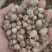 白豆蔻白蔻鲁舜泽中药材商行中药材香辛料