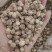 白豆蔻白蔻鲁舜泽中药材商行中药材香辛料