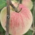 花硕平果