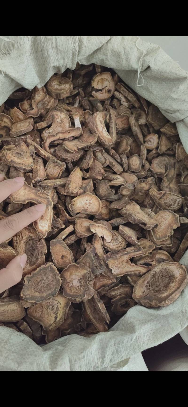 大黄鲁舜泽中药材商行中药材批发零售诚信经营全国发货