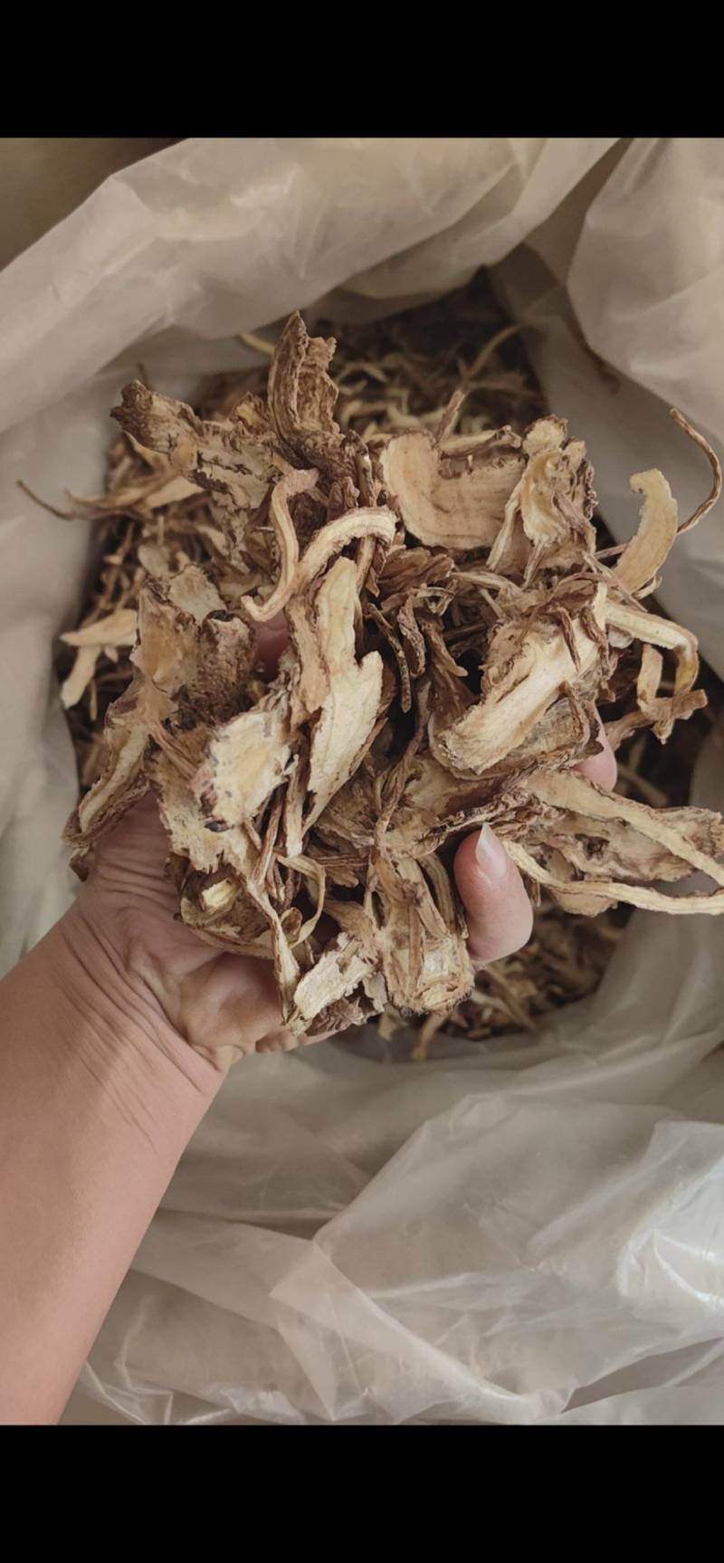 当归全归甘肃当归过2号筛鲁舜泽中药材商行