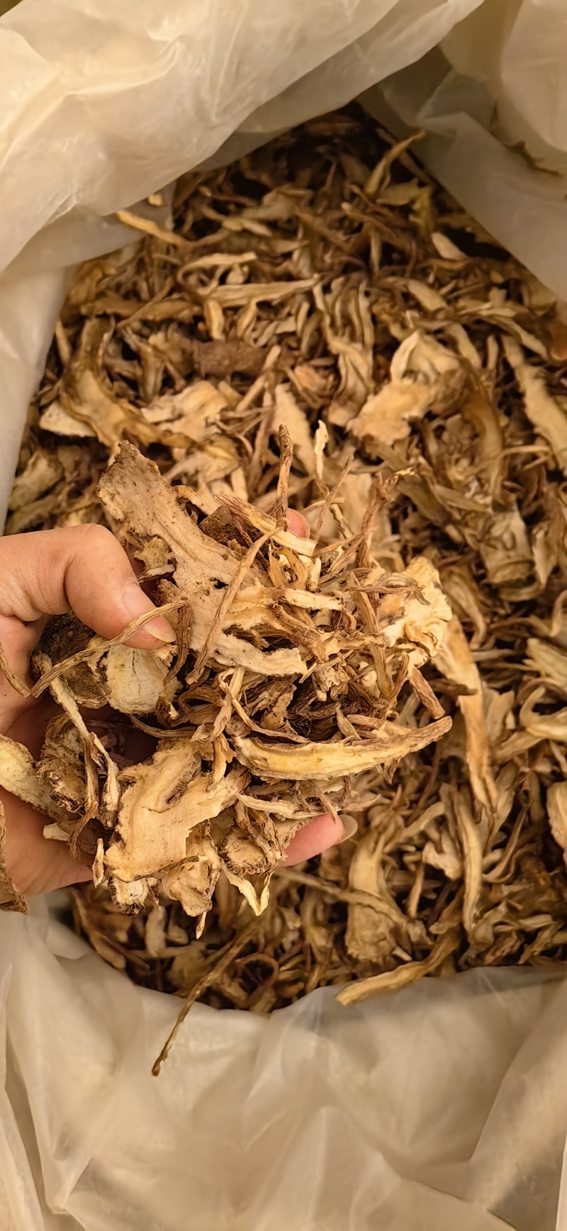当归全归甘肃当归过2号筛鲁舜泽中药材商行