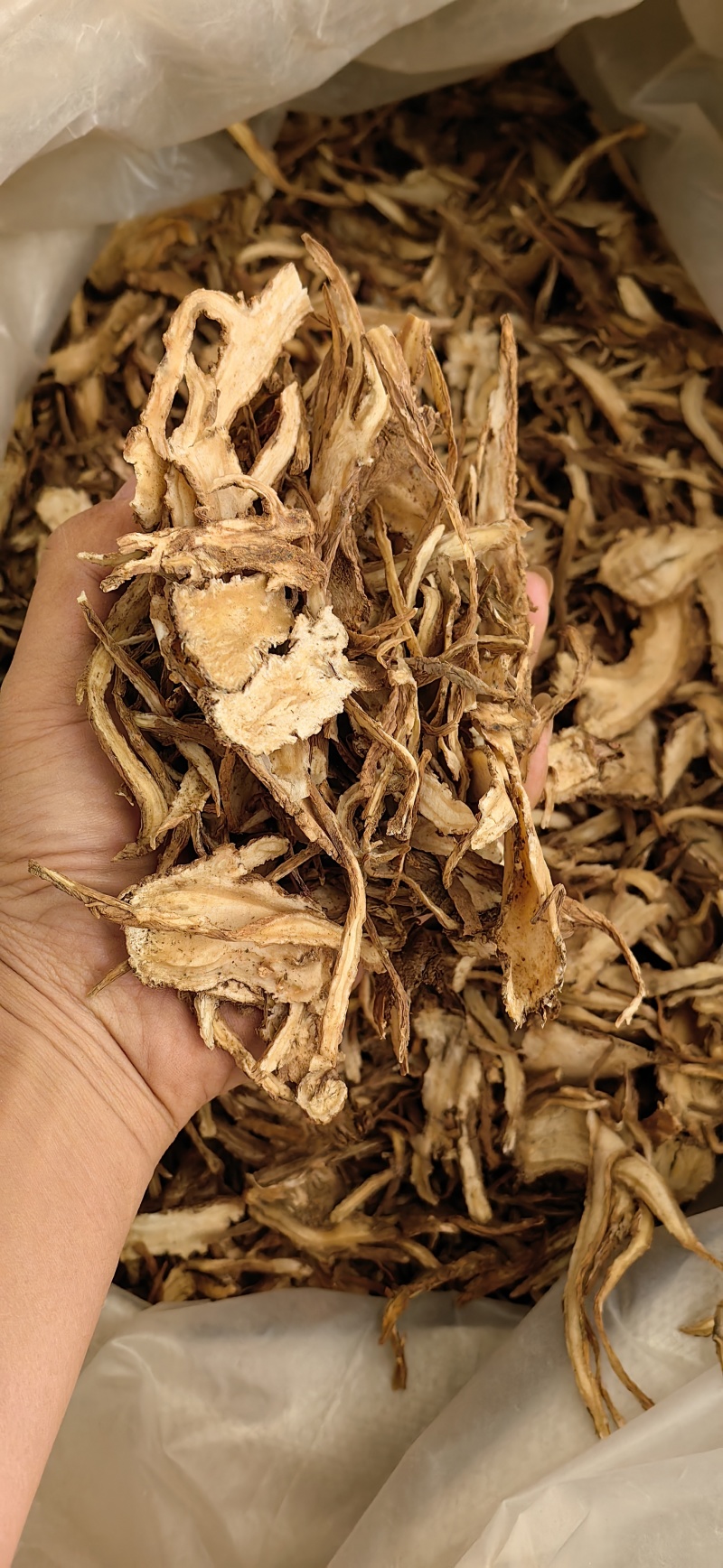 当归全归甘肃当归过2号筛鲁舜泽中药材商行