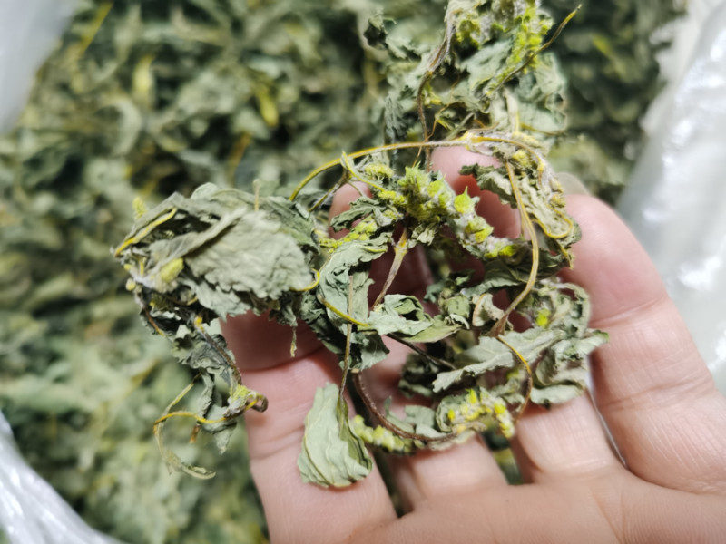 野生干苏子叶量大优惠
