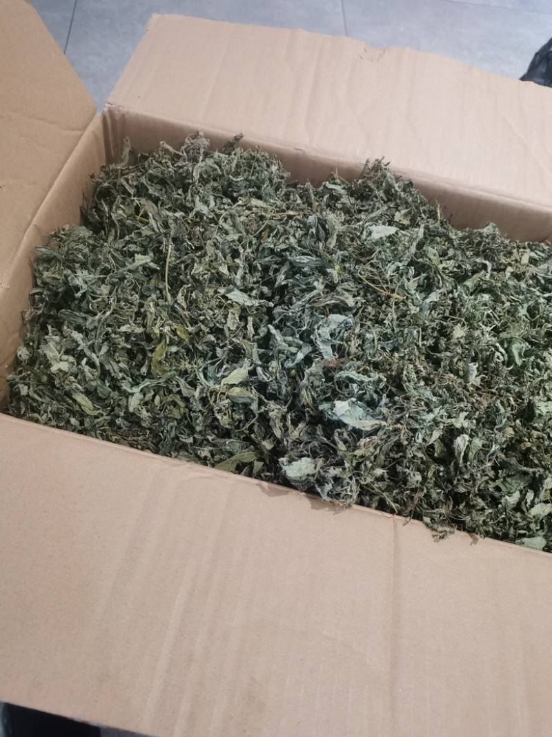 野生干苏子叶量大优惠