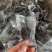 新疆蒸枣，经过三蒸三嗮制作而成，没有任何添加剂