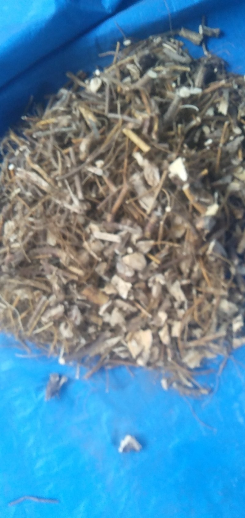 长期出售纯野生五指毛桃。等等，各种野生药材