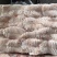猪天梯猪牙板纯干无肉一箱4板，牙卡，猪产品