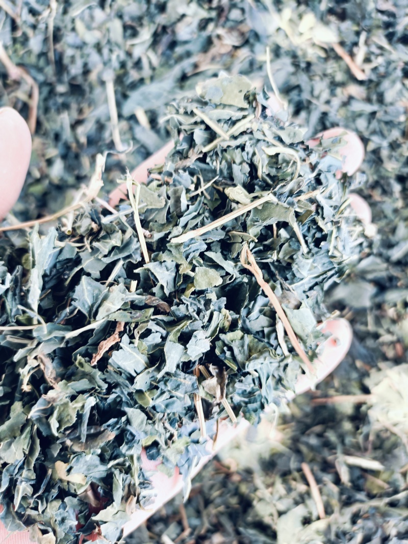 中药材大青叶，蓼大青叶。靛叶供应，购销各种中药材！
