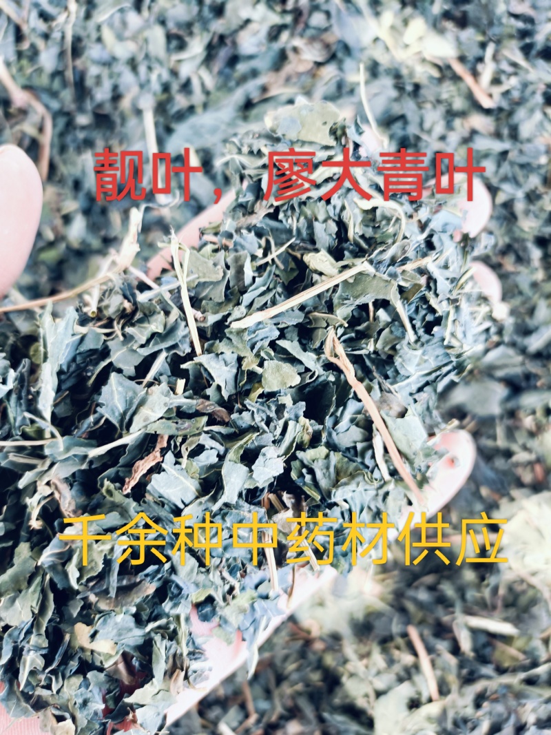 中药材大青叶，蓼大青叶。靛叶供应，购销各种中药材！
