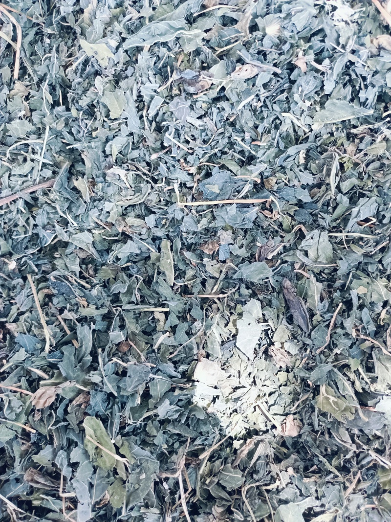 中药材大青叶，蓼大青叶。靛叶供应，购销各种中药材！