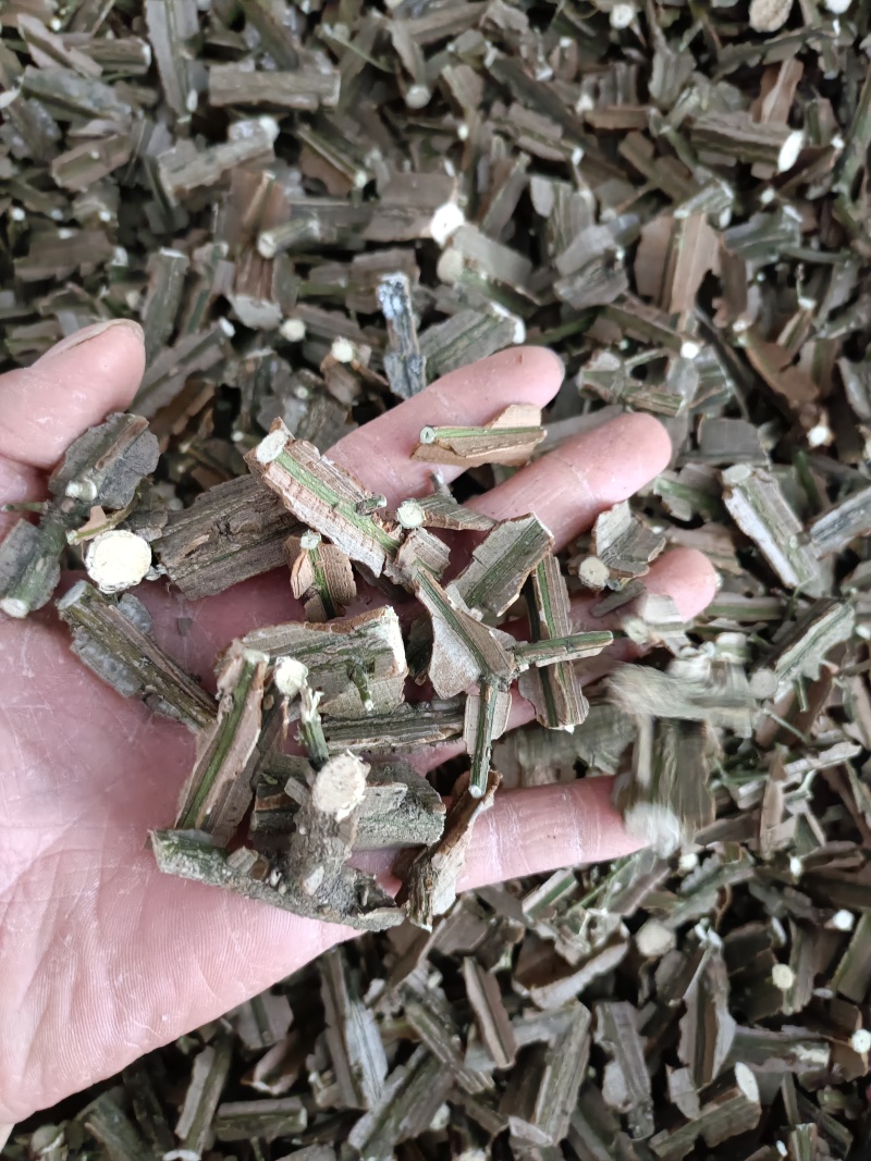 中药材鬼箭羽，卫茅，鬼见羽供应，购销各种中药材！