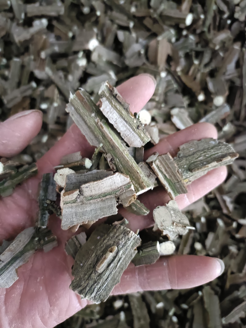 中药材鬼箭羽，卫茅，鬼见羽供应，购销各种中药材！