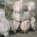 精品白萝卜大量上市品质保证一手货源量大从优