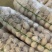 精品白萝卜大量上市品质保证一手货源量大从优