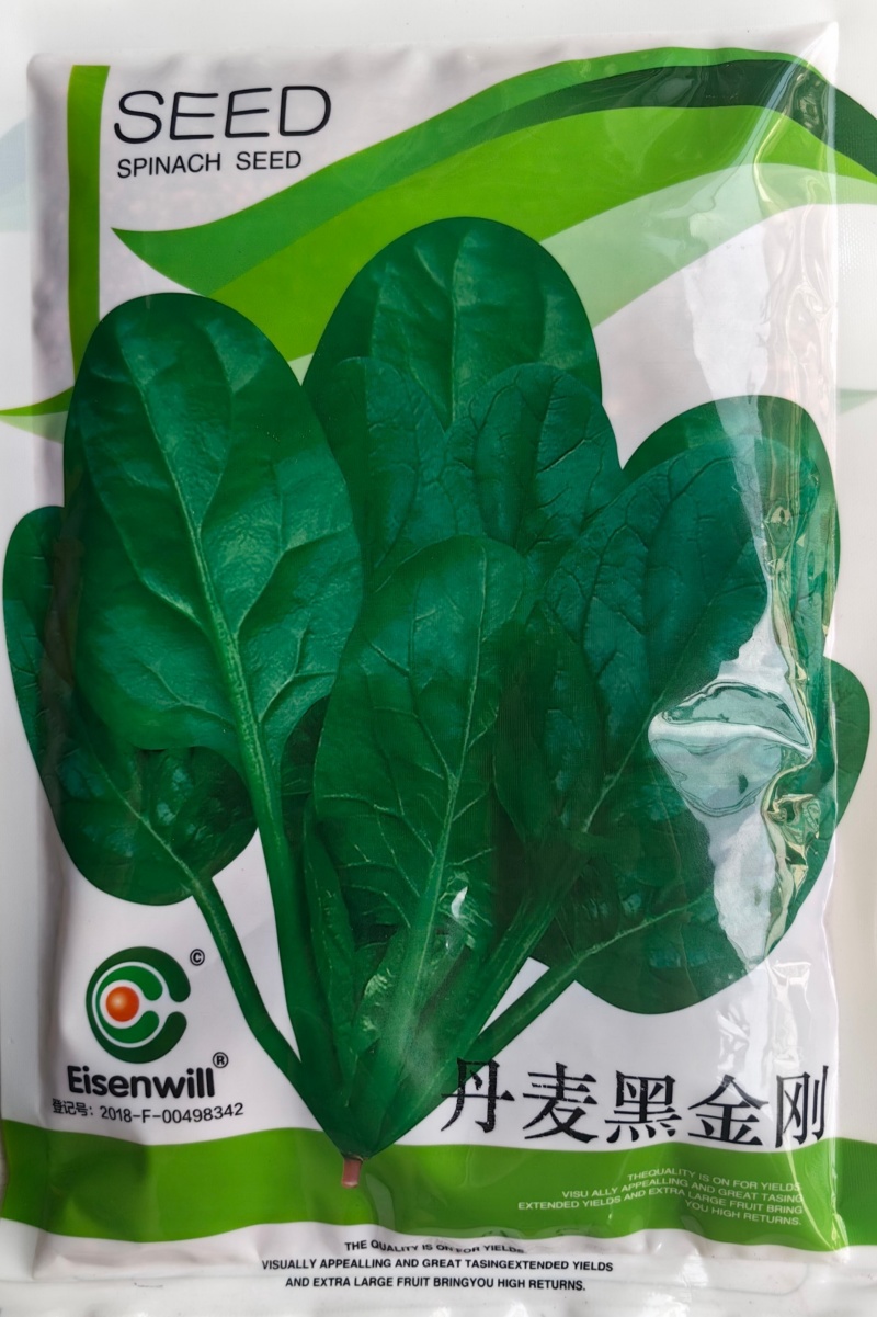 丹麦黑金刚菠菜种子四季播耐热抗寒蔬菜阳台盆栽大叶红根菠菜