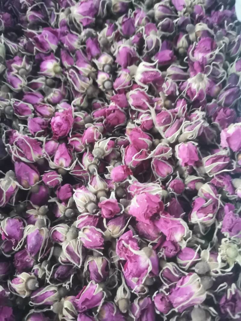 玫瑰花蕾玫瑰花茶