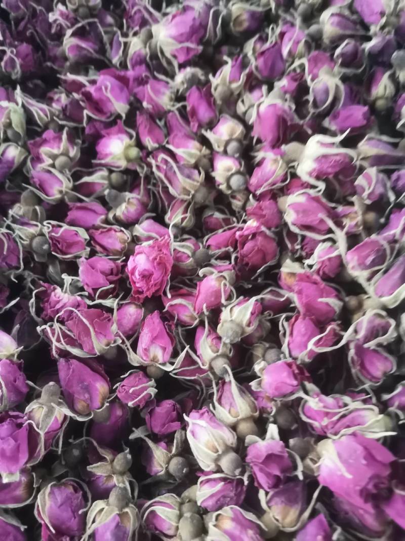 玫瑰花蕾玫瑰花茶