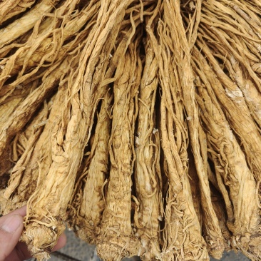 甘肃本地独活个子，精品，产地直发