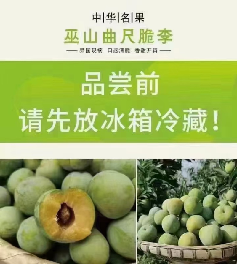 [顺丰包邮]礼盒装巫山脆李新鲜采摘脱骨离核脆甜坏果包