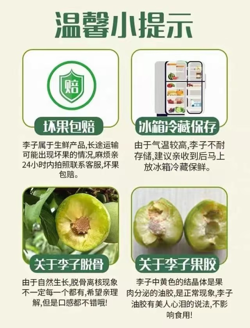 [顺丰包邮]礼盒装巫山脆李新鲜采摘脱骨离核脆甜坏果包