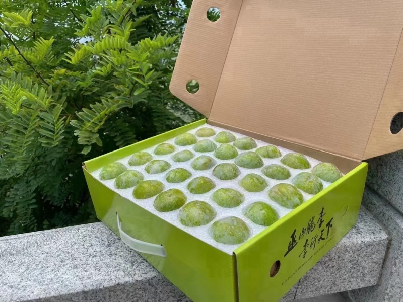 [顺丰包邮]礼盒装巫山脆李新鲜采摘脱骨离核脆甜坏果包