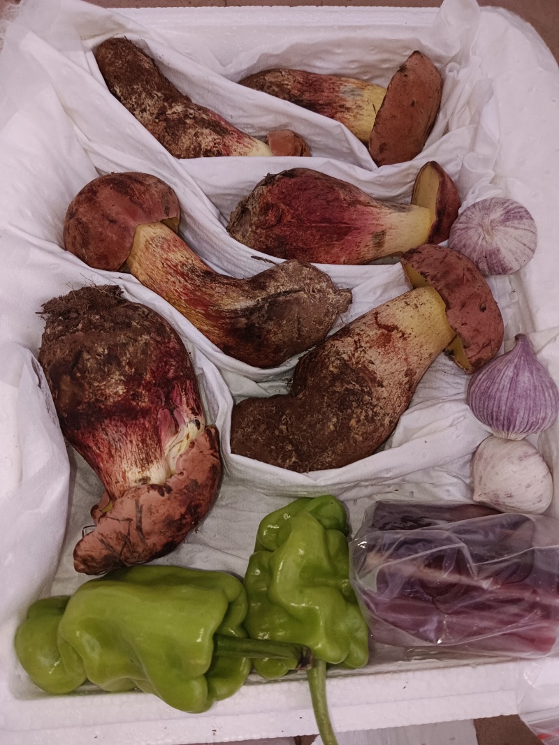 红葱牛肝菌：自然的馈赠，美味非凡。现采现发！