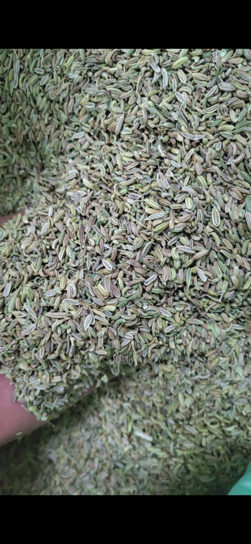 【精品小茴香】甘肃宁夏包过检小茴香香料香辛料