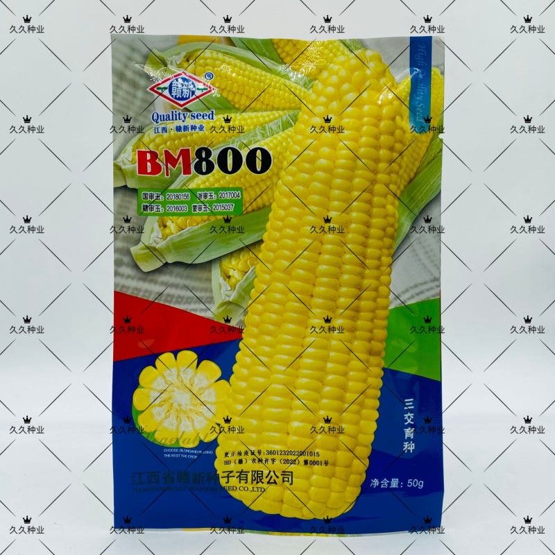 BM800水果玉米种子大棒型超甜鲜食生吃糯玉米水果玉米